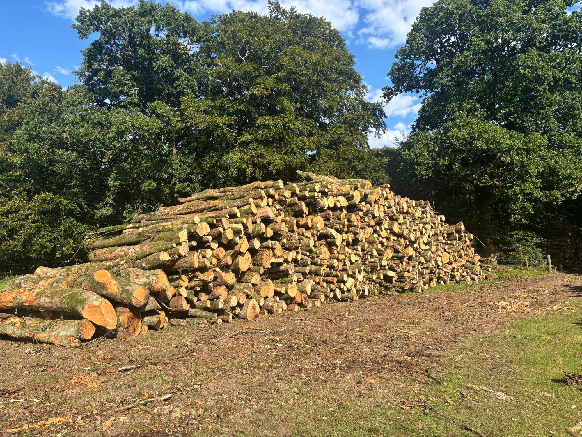 Timber stack, estate clearance