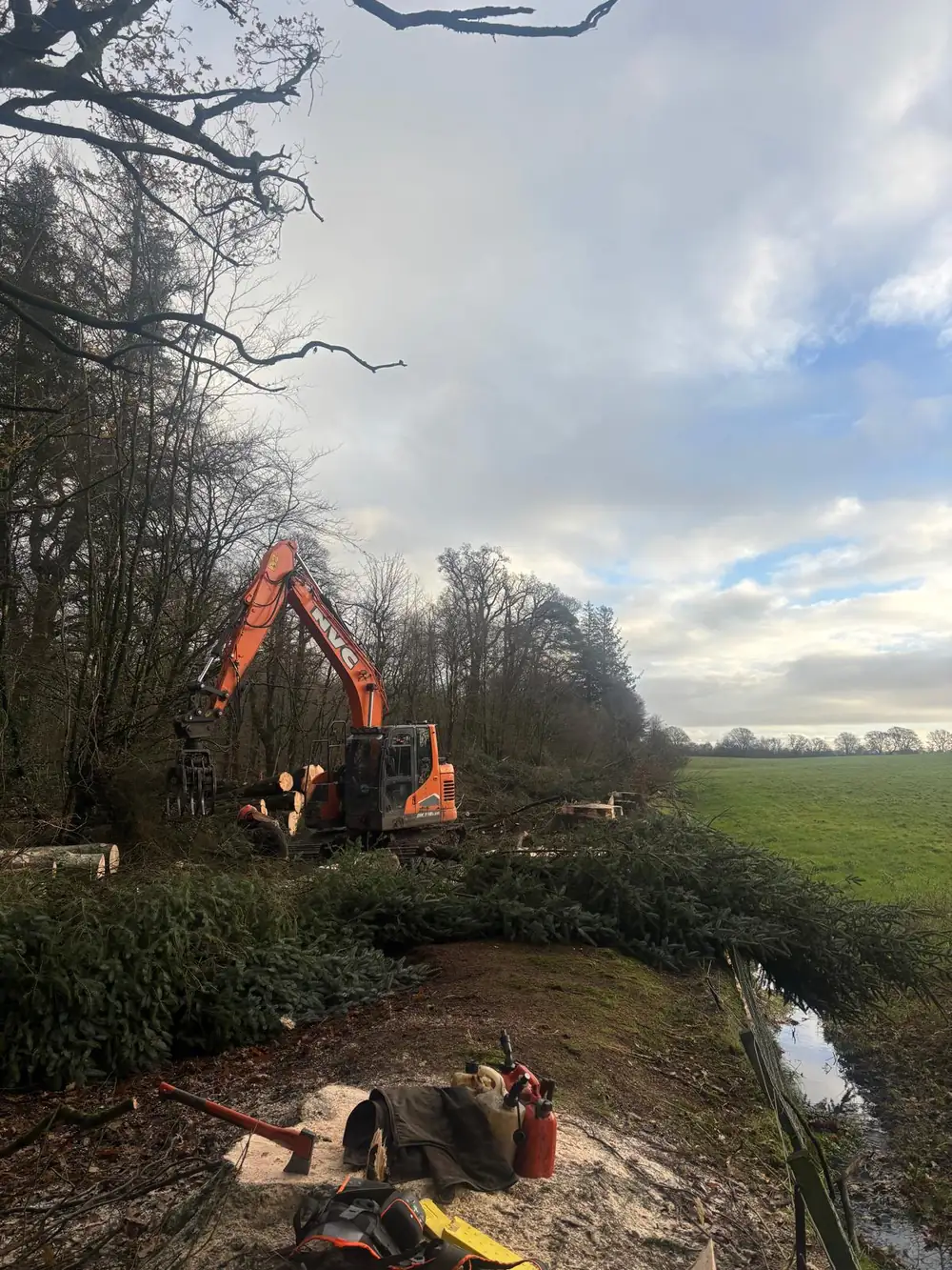 Ferguson Forestry harvester working at a woodland edge in the South East