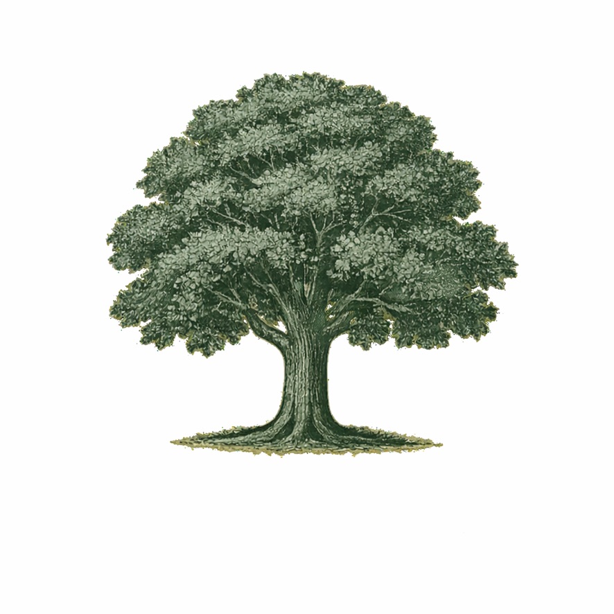 Ferguson Forestry Ltd.