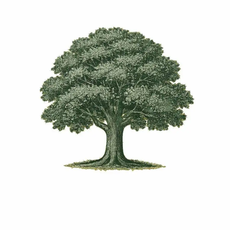 Ferguson Forestry Ltd.