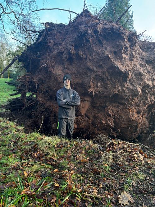 Edward Johnson-Ferguson, director of Ferguson Forestry Ltd.