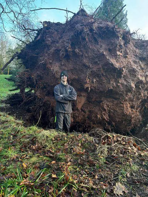 Edward Johnson-Ferguson, director of Ferguson Forestry Ltd.