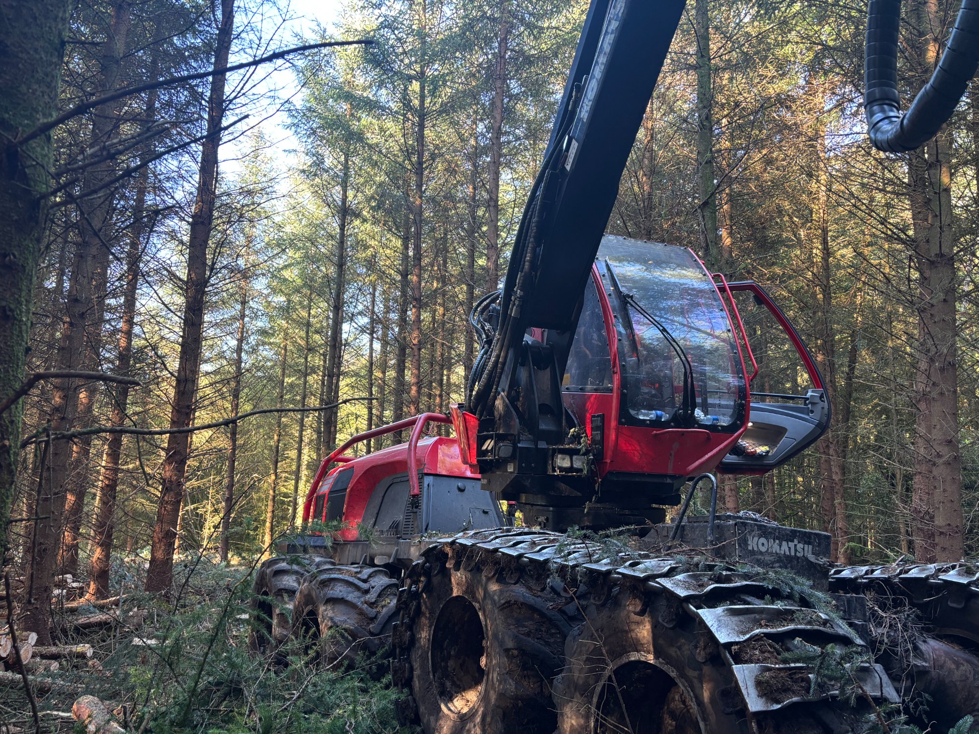 Komatsu harvester in plantation