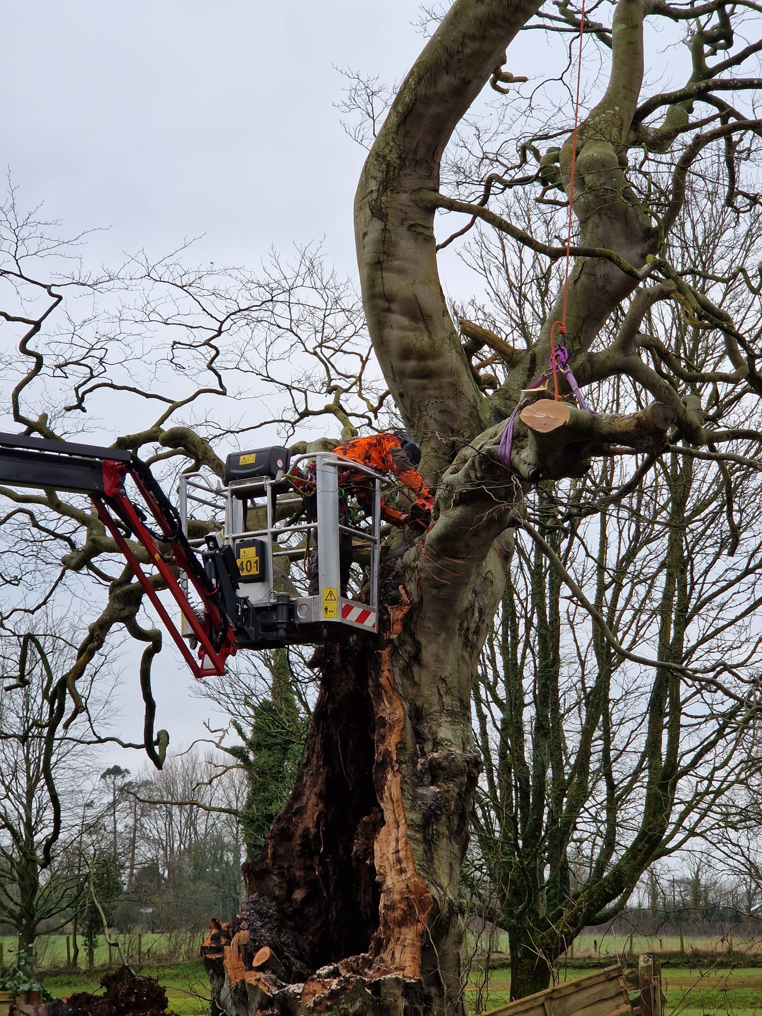 Cherry picker — surveys and assessment